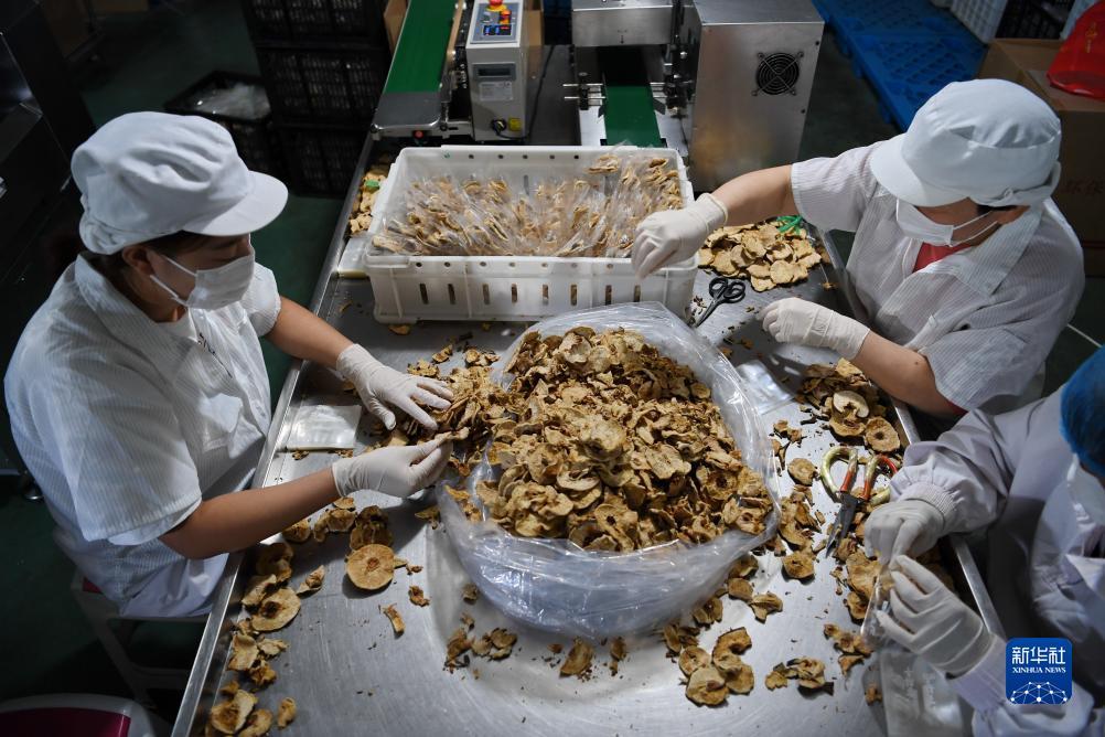 飞五28官网